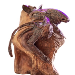 Obra “Calanta” | Artes Agnaldo Adelio (OBRA PREMIADA)